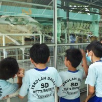 Kegiatan Outdoor Study Kelas V Ke Museum Sang Nila Utama